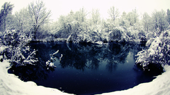 Winter snow forests rivers