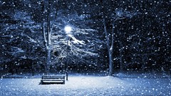 Winter snow night bench
