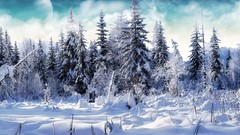 Winter snow planets moon