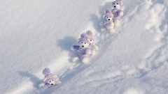 Winter snow teddy bears