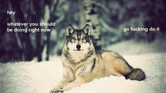 Winter snow text motivation
