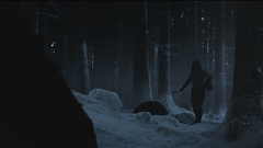 Winter snow Trees forests