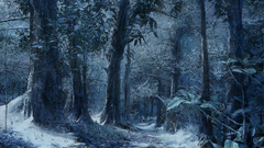 Winter snow Trees Frozen