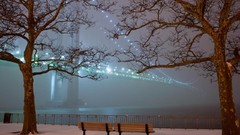Winter snow Trees night