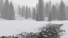 Winter snow Trees snow