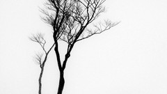 Winter snowboard Snowboarding