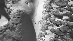 Winter snowboard Snowboarding