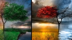 Winter summer autumn spring Drawn