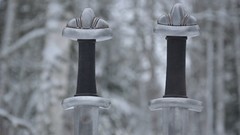 Winter Swords