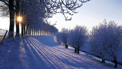 Winter The Netherlands nederland