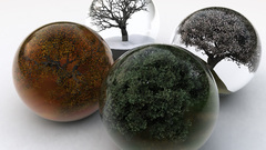 Winter Trees autumn glass