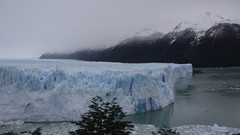 Winter Trees fog lakes