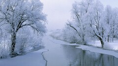 winter Trees river snow ice landscape