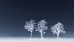 Winter Trees wide Art