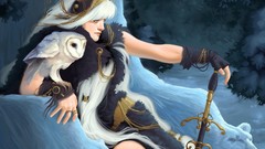 Winter woman Swords artwork fantasy art