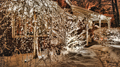 Winter Wonderland GoGo high