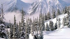 Winter Wonderland guys! nice have hey anyone