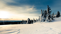 Wintersun sunrise or Maybe