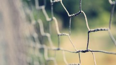 Wire Green abstract fences