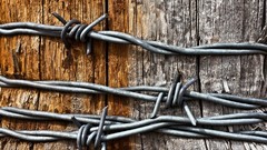 Wire Wood barbed wire fences