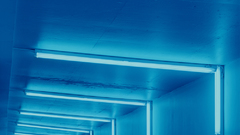 Wish could find high