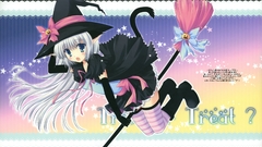 Witch Halloween nekomimi Anime