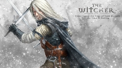 Witcher game