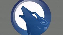 Wolf logo artwork Art