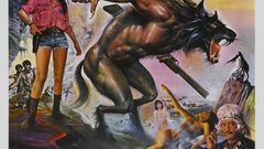 Wolf poster kicked 1980s