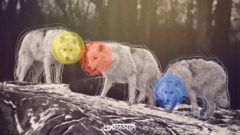 wolf snow red blue yellow digital art Animals Mammals