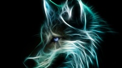 Wolf Wild high Resolution