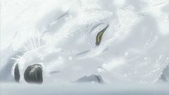 Wolfs rain Anime