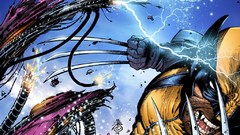 Wolverine artwork