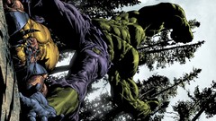 Wolverine comics Hulk (comic character)