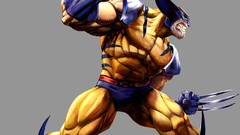 Wolverine comics superheroes Marvel vs Capcom Marvel vs Capcom 2