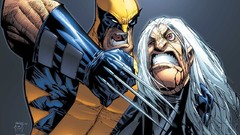 Wolverine marvel civil war marvel comics