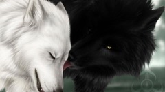 Wolves