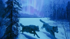 Wolves