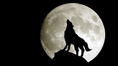 Wolves