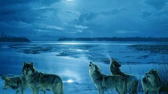 Wolves