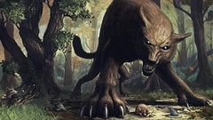 Wolves creatures forests fantasy art