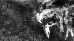 Wolves game of thrones house stark