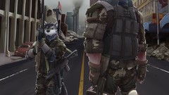Wolves military furry military art