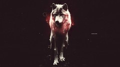 Wolves Photo manipulation