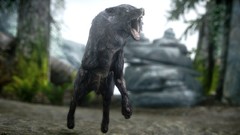 Wolves the elder scrolls v skyrim video games