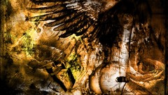 Woman abstract wings ass