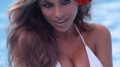 Woman Actress bikini sofia vergara Latina MILF Colombian