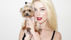 Woman Actress blondes amber heard