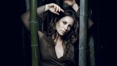 Woman Actress brunettes evangeline lilly