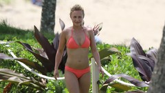 Woman Actress hayden panettiere blondes bikini